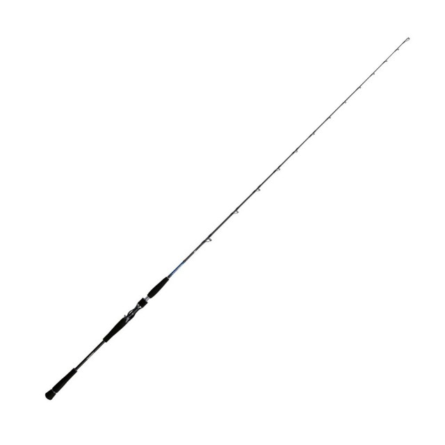 Καλάμι SALTIGA BAY JIGGING 1.93m 180gr της DAIWA main image