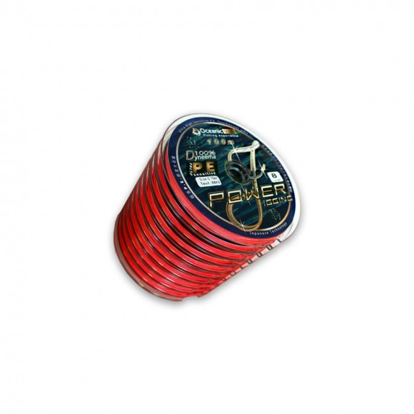 Νήμα POWER JIGGING Οκτάκλωνο 100 μέτρα main image