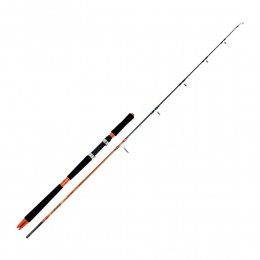 Καλάμι JIGGING POWER 1.90mt 60-120g της VEGA image