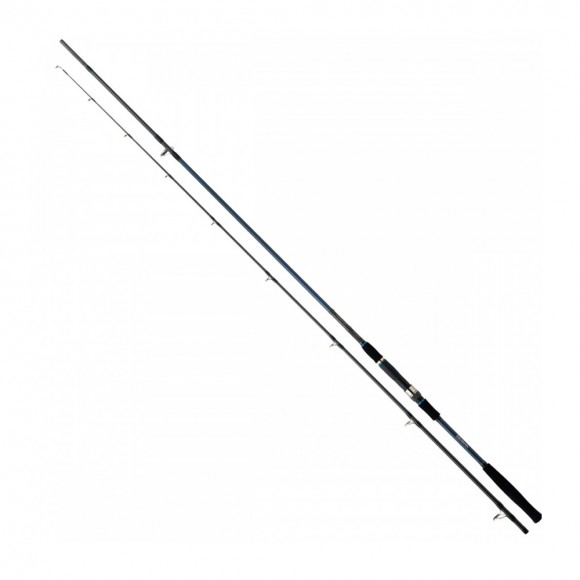 Καλάμι CROSSCAST SHORE JIGGING 3.20m 60-120gr της DAIWA main image