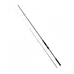 Καλάμι BALLISTIC-X TENYA 2.40m 15-80gr της DAIWA image