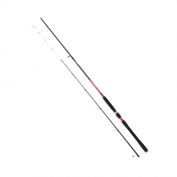 Καλάμι POWERMESH TENYA 2.40m 20-70gr της DAIWA main image