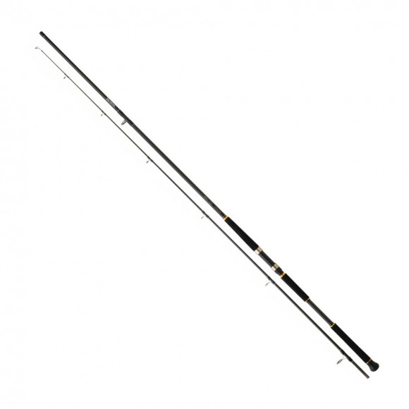 Καλάμι LEGALIS SHORE JIGGING 2.90mt 28-84gr της DAIWA main image