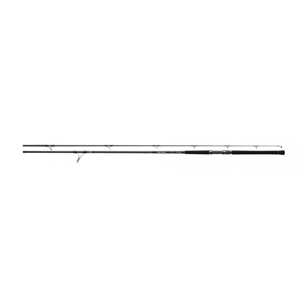 Καλάμι DAIWA SHORE SPARTAN COASTAL 2.90m 40-120gr image