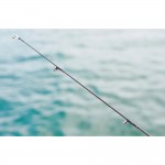 Καλάμι GEKKABIJIN MX 78ML TN 2.34m 1.5-10gr της DAIWA image - 2