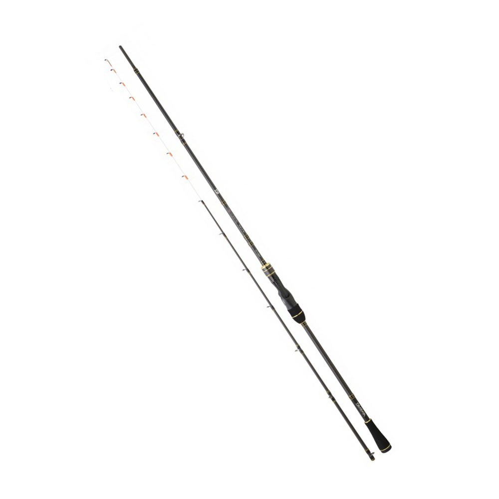 Καλάμι TEAM DAIWA TENYA 2.20m 50-150gr image