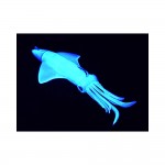 Σιλικονούχο καλαμάρι GT BIO KALAMY SQUID UV 175mm 150g WHITE image - 1