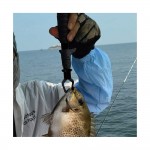 Γκριπ ATISEN LIP GRIP FG-5028 image - 2