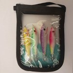 Σετ 4 καλαμαριέρες γουρουνάκια + Θήκη image - 1