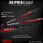 Καλάμι VEGA SUPRACAST Hybrid 3.90m 60-120g image - 1