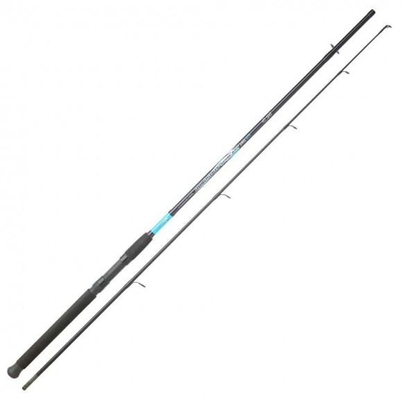 Καλάμι Spinning SRT FISH INSTINCT RHAPSODY SPINCAST 2.40m 20-50g main image