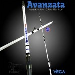 Καλάμι VEGA AVANZATA 4.20m 100-280gr image - 1