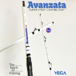 Καλάμι VEGA AVANZATA 4.20m 100-280gr image - 2