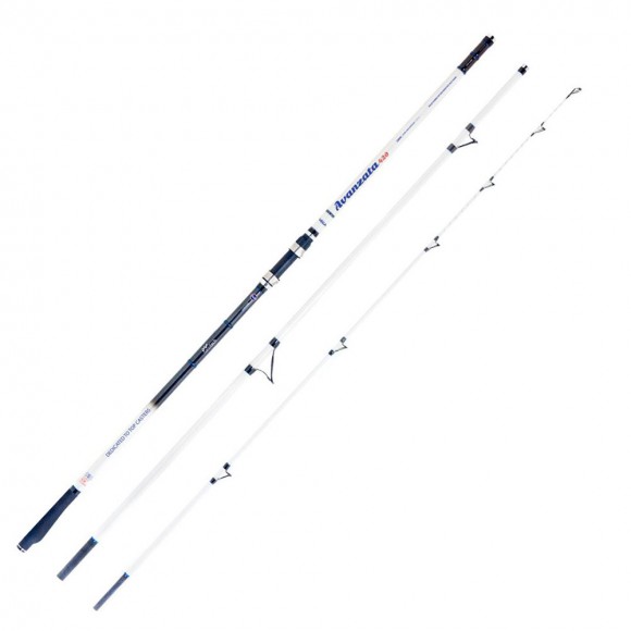 Καλάμι VEGA AVANZATA 4.20m 100-280gr main image