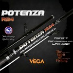 Καλάμι Surfcasting Vega POTENZA RS4 Tubular 4.50m 100-300g image - 1